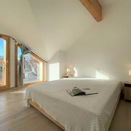 Dupleix 4 Pieces, 6-8 Pers. A Puy St Pierre - Lumineux, Equipe, Calme Avec Terrasse Et Garage Prive - Fr-1-330c-136 Chalet *